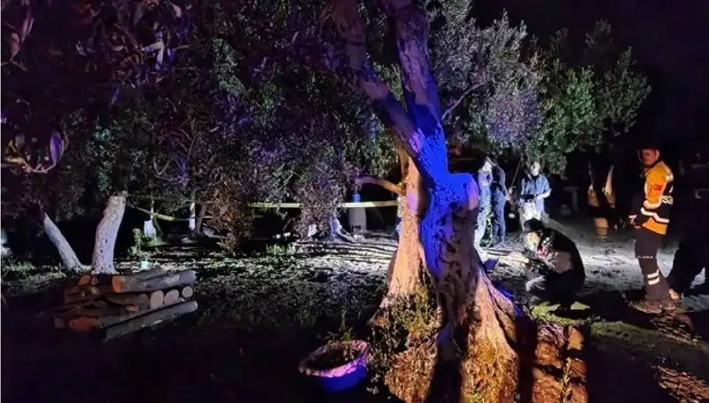 Çiftlikteki Baltalı Vahşete Şok Tutuklama; Olanları Kimse Beklemiyordu