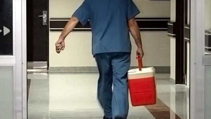 Organ Bağışında Dönüşüm: e-Devlet ve e-Nabız ile Kolay Adımlar