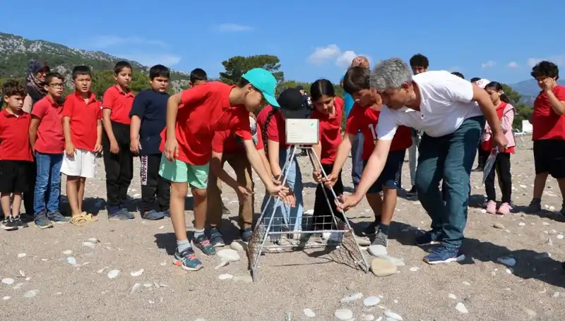Kemer'de Caretta Caretta Koruma Yasakları Başladı: Deniz Kaplumbağaları İçin Bir Fırsat