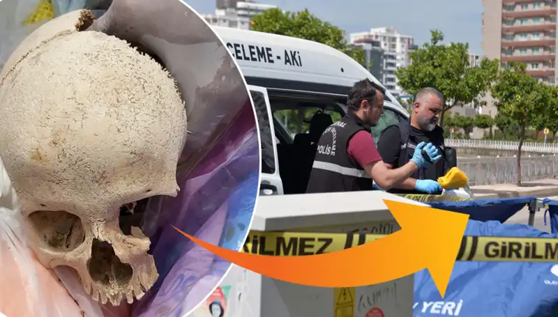 Sitenin Çöpünde Bulunan Kafatası: Tüyler Ürperten Sır Ortaya Çıktı