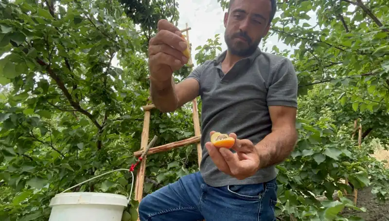 50 TL ile 70 TL Arasında, Tadı Damağınızda Kalacak Lezzet Ürünleri