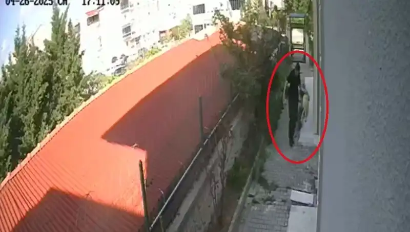 Hayvanseverlerin Yüreğini Yakan Olay: Doktor, Sahiplendiği Köpekleri Öldürdü!