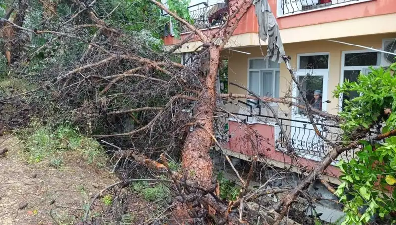 Yağmurun Kurbanı: Bina Çöktü, Portatif Bir Drama Yaşandı