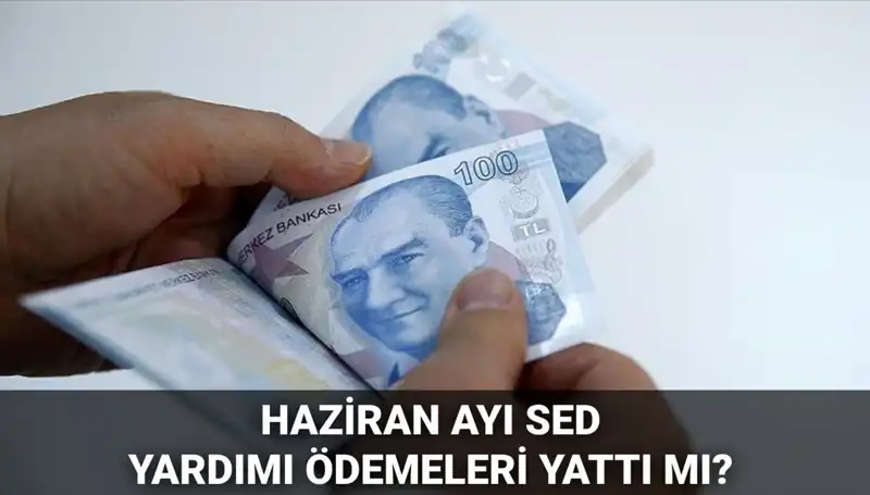 Haziran 2025 SED Ödemeleri: Ödeme Tarihleri ve Sorgulama Yöntemleri