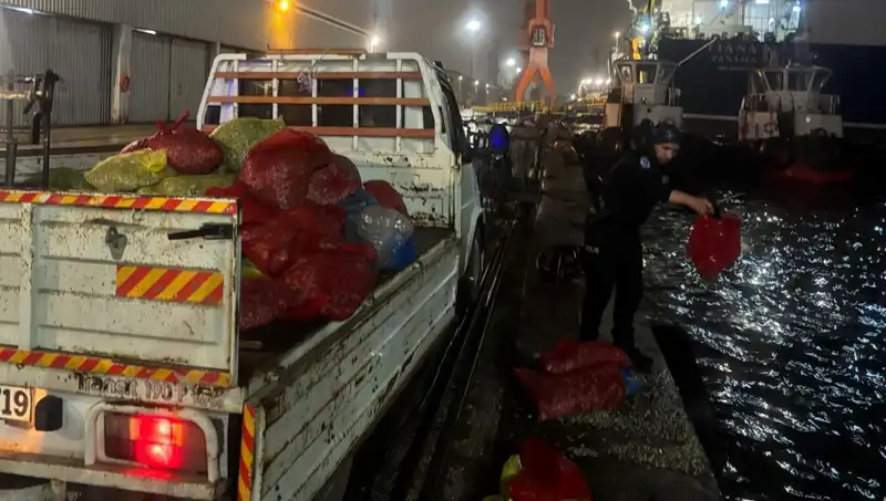 Kaçak Midye Operasyonu: Sahil Güvenlik 10 Ton Midye Ele Geçirdi
