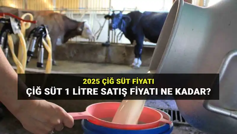 2025'te Çiğ Süt Fiyatları Ne Olacak? Ulusal Süt Konseyi Açıklamalarını Yaptı!