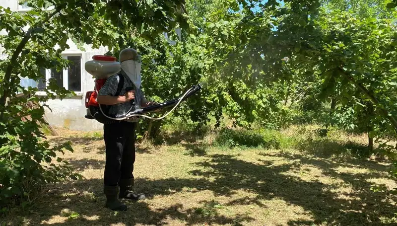 Samuray Arısı ve Kükürt: Çiftçilerin Umut Kayıtları