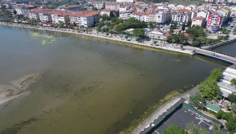 Marmara Denizi'nde Endişe Verici Görüntüler: Bilim İnsanları Uyarıyor
