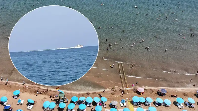 Plajda Köpek Balığı Korkusu: Gerçekler Ortaya Çıktı, Sahil Boşaltıldı