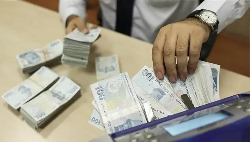 Türkiye'de Bireysel Emeklilik Sistemi'nde 17,36 Milyon Kişi Yer Alıyor