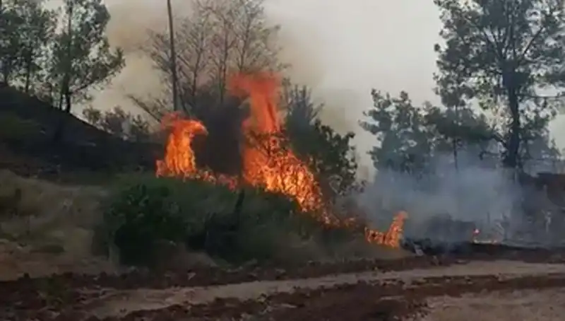 Denizli'de Orman Yangını: 7 Hektar Alanı Kül Eden Felaket