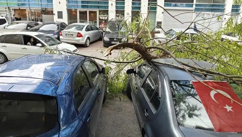 Kayseri'de Dalları Kıran Fırtına, Doğayı ve Hayatı Olumsuz Etkiledi