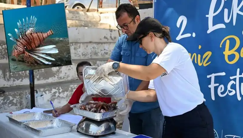 Antalya'da Heyecan Dolu İstilacı Aslan Balığı Avlama Yarışması Düzenleniyor