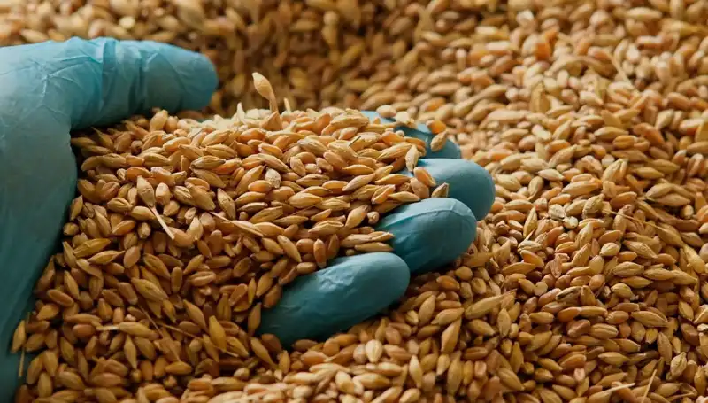 Kalp Hastalığı Riskini Azaltmanın Yolları: Beslenme İle Sağlığınızı Koruyun