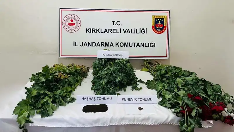 Kırklareli'nde Narkotik Operasyonu: 8 Kişi Gözaltına Alındı