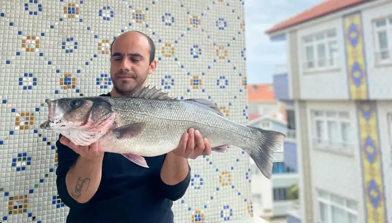 7,5 Kiloluk Dev Levrek Balığı Avlandı: Balıkçıların Gözdesi Oldu!