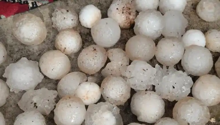Şanlıurfa'da Kar Topu Büyüklüğünde Dolu Yağışı Hayatını Olumsuz Etkiledi