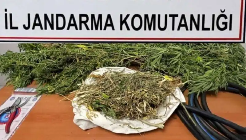 Niğde'de Uyuşturucu Operasyonu: Çok Sayıda Gözaltı ve Ele Geçirilen Miktar Şaşırttı