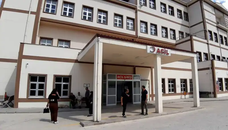 Bolu'da Ayı Avına Dair Tartışmalı Karar: Neden ve Nasıl?