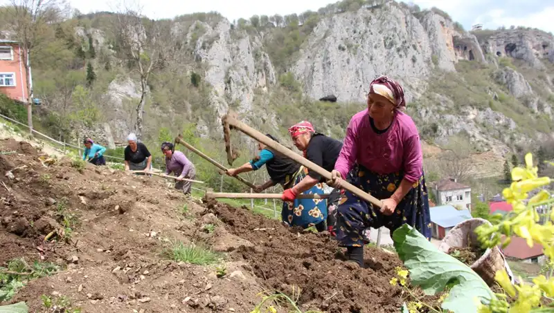 Zorlu Mesai Başladı: Sırtlarda Sepet, Eller İse Kazmalarla Fark Yaratan İşçiler