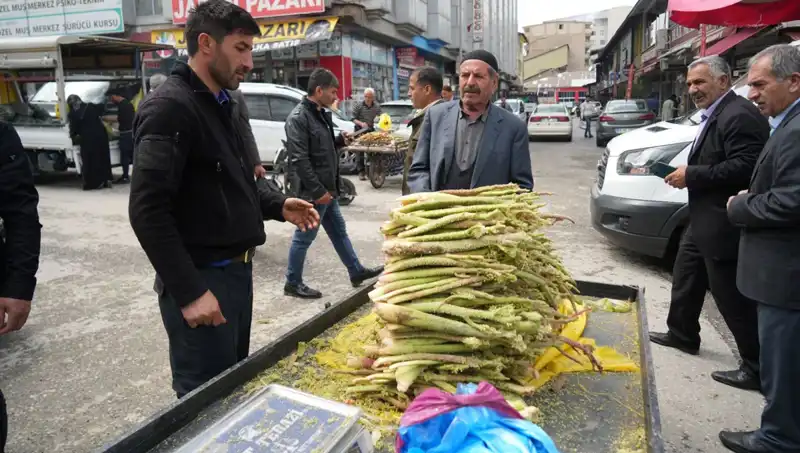 Doğanın Şifası: Dağlardan Toplanan Şekerin Sağlığa Faydaları