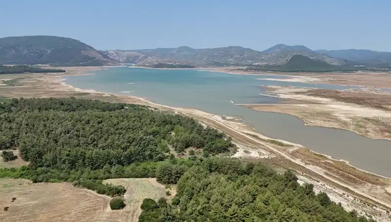 İzmir'de Tehlike Çanları Çalıyor: Yüzde 50 Düşüş Nedenleri Neler?