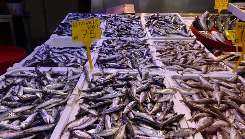 Balık Sezonu Kapanıyor: Tutkunu Asla Tükenmeyecek!