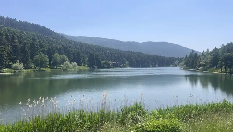 Bolu'nun Büyüleyici Milli Parklarına Ziyaretçi Akını!