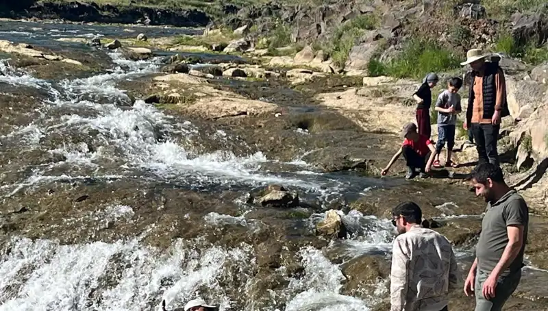 İnci Kefalinin Göçü: Doğa Harikası Turistleri Kendine Çekiyor