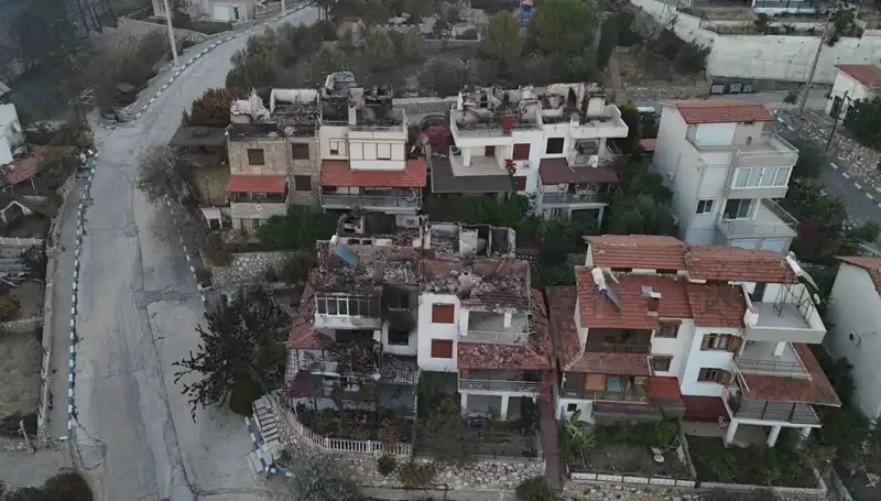 Orman Yangınları Türkiye'yi Sarıyor: Evler ve Doğal Yaşam Tehlikede