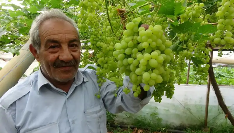 Zirai Don Sonrası Meyve Fiyatları Uçuşa Geçti: İlk Ürünler 250 TL'den Satılıyor